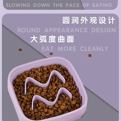 Pet Slow Feeder Bowl