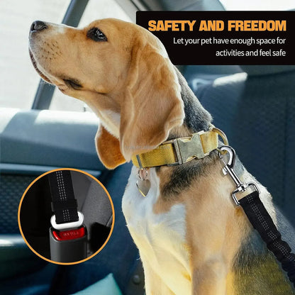 Pet Car Safety Belt