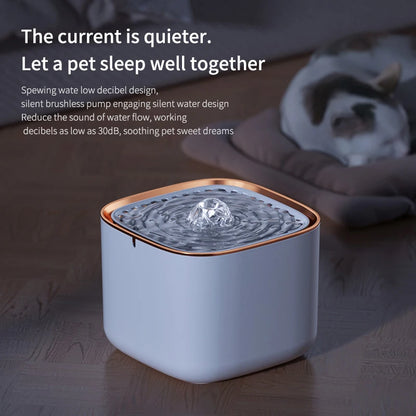 Pet Water Fountain with LED Light
