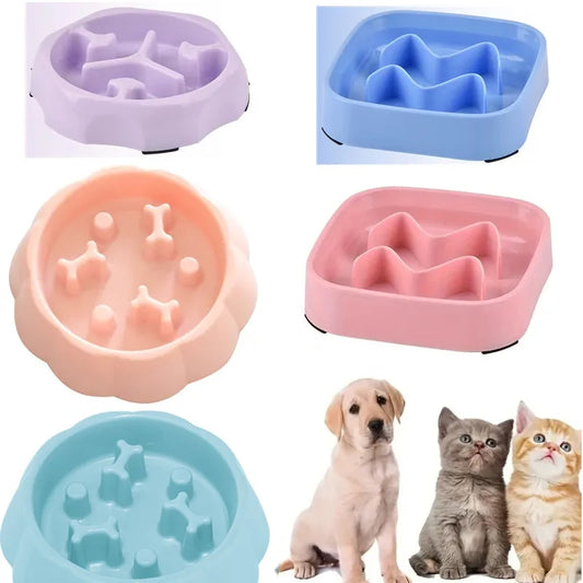 Pet Slow Feeder Bowl