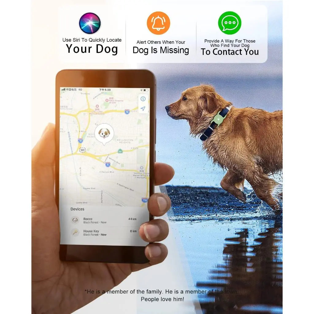 Silicone AirTag Pet Collar Holder