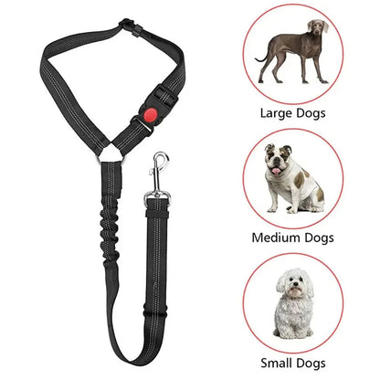 Pet Car Safety Belt & Lead