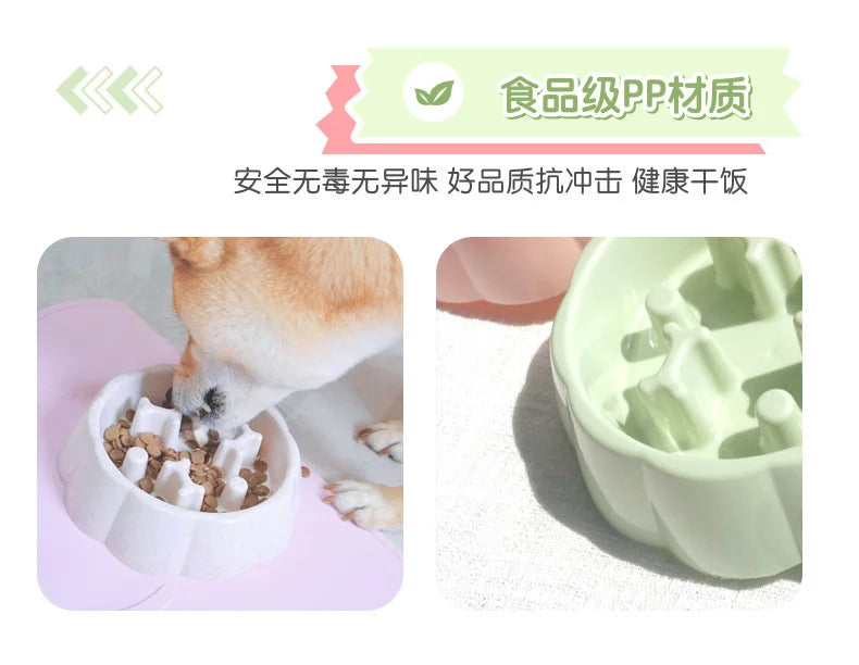 Pet Slow Feeder Bowl
