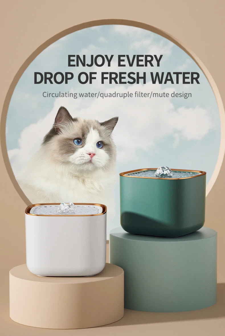 Pet Water Fountain with LED Light