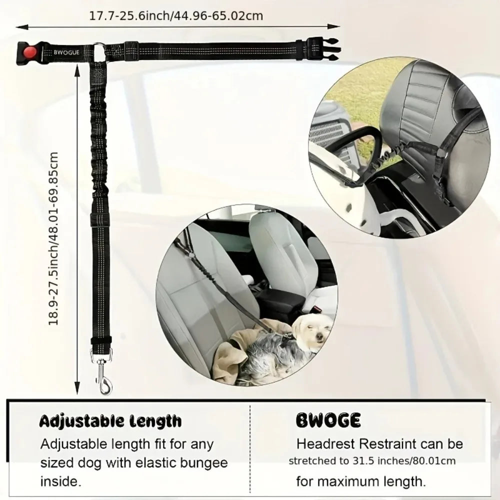 Pet Car Safety Belt & Lead