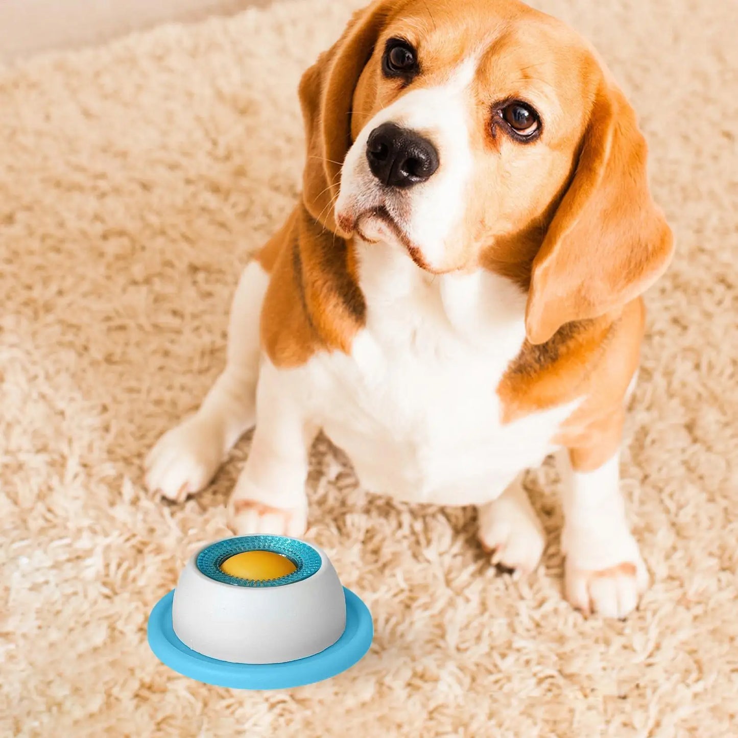 Pet Slow Feeder Lick Toy