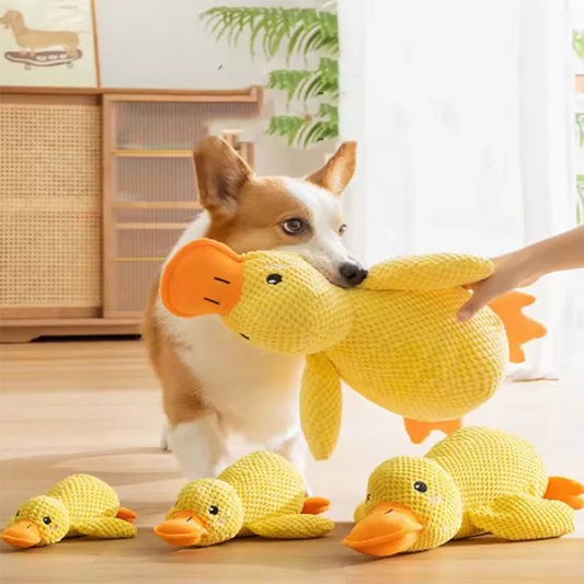 Plush Duck Squeaky Toy
