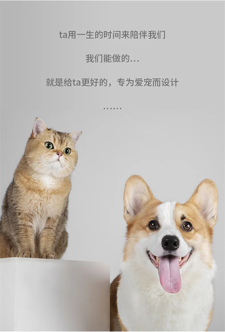 Pet Slow Feeder Bowl