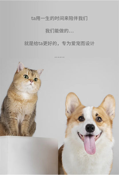 Pet Slow Feeder Bowl