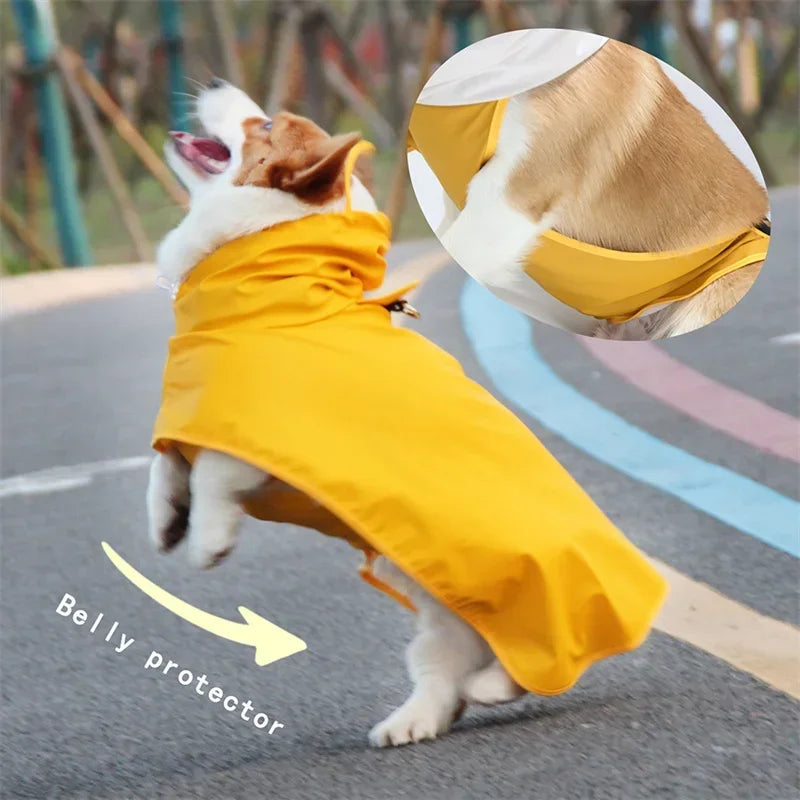 Dog Raincoat