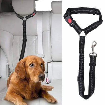Pet Car Safety Belt & Lead