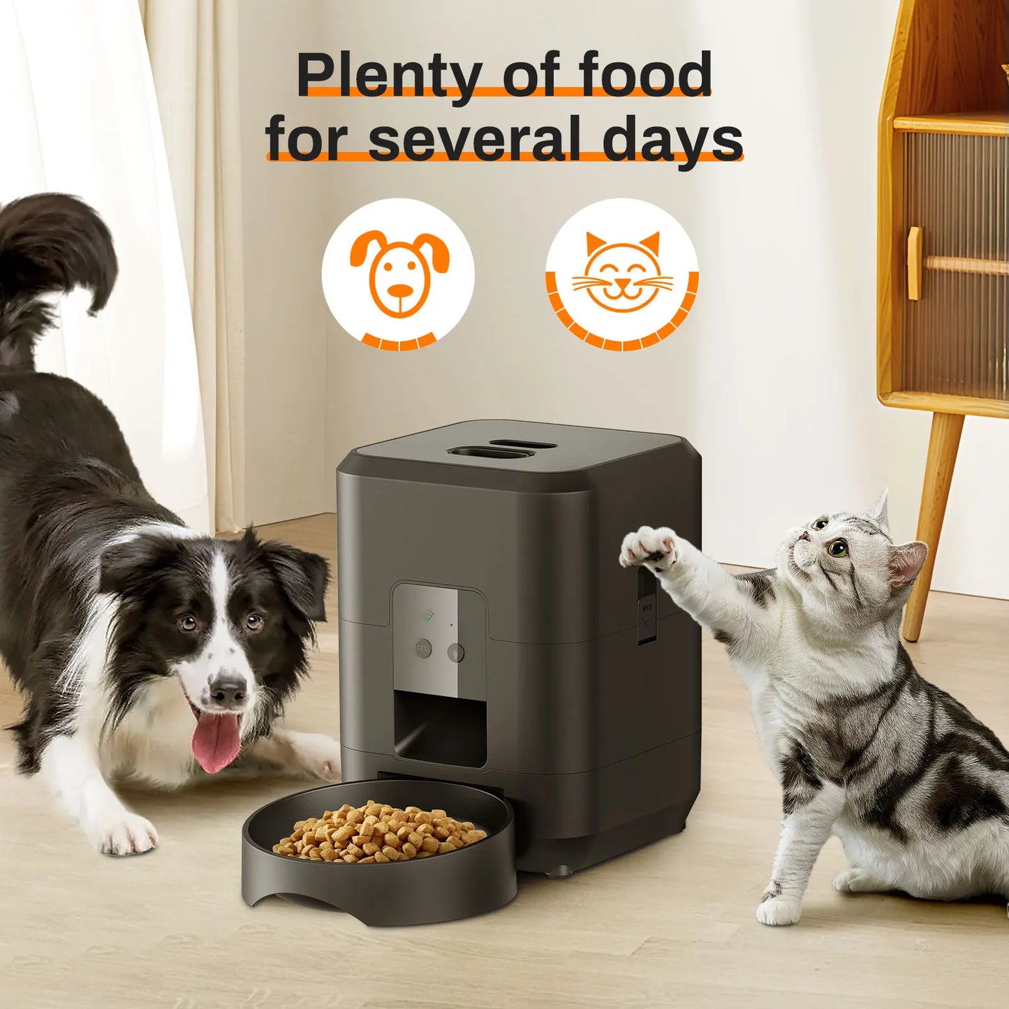 Smart & Automatic Pet Feeder with Timer