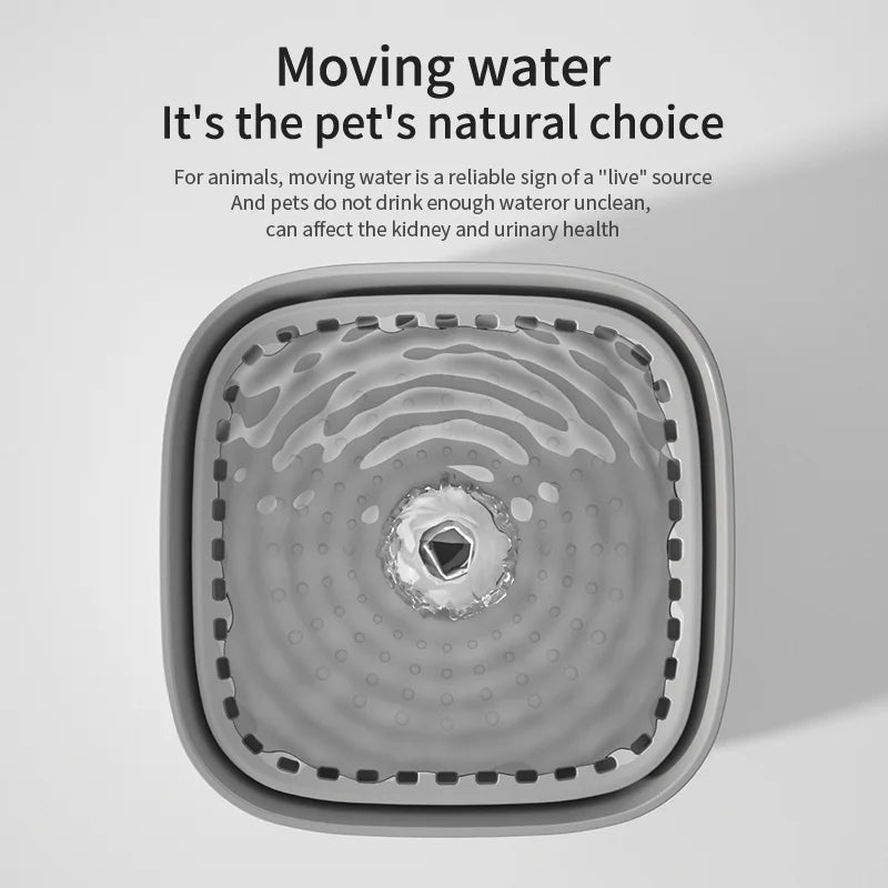 Pet Water Fountain with LED Light