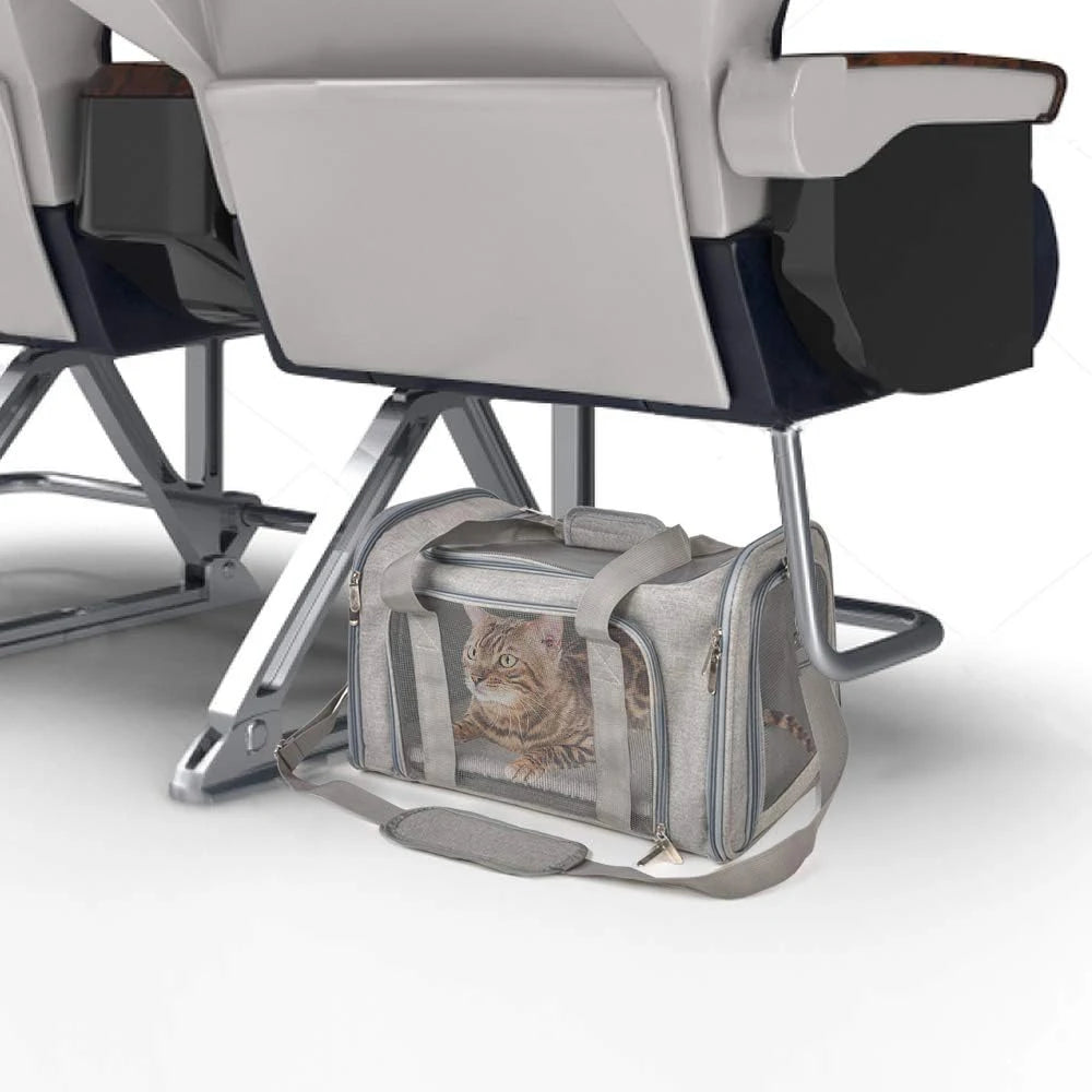 Collapsible Pet Carrier