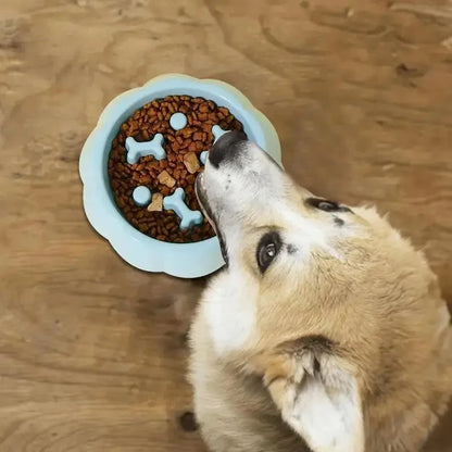 Pet Slow Feeder Bowl