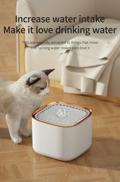 Pet Water Fountain with LED Light