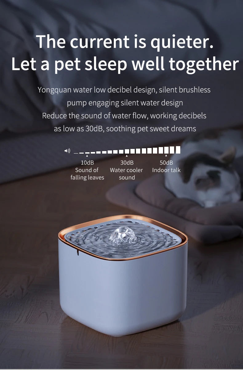 Pet Water Fountain with LED Light