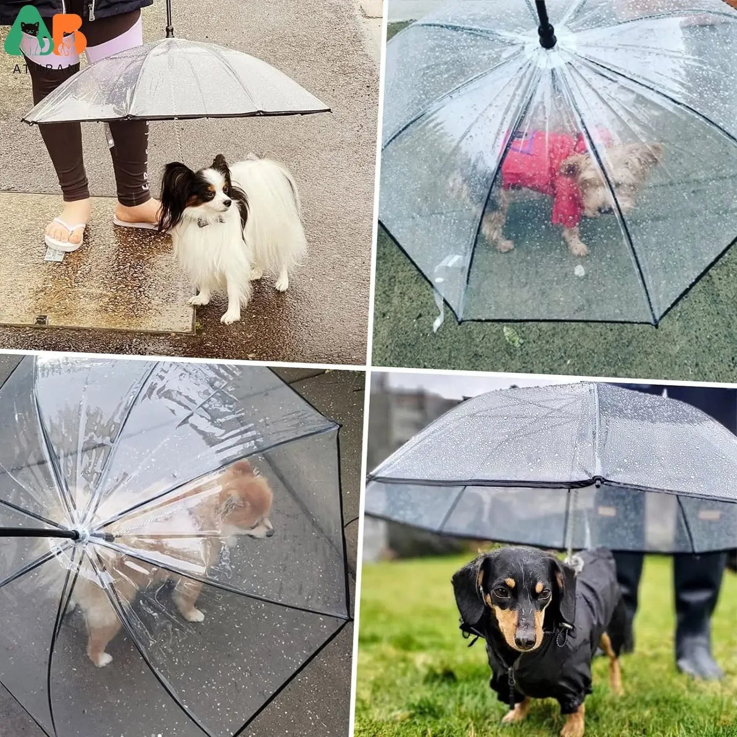 Pet Umbrella with Built-In Leash