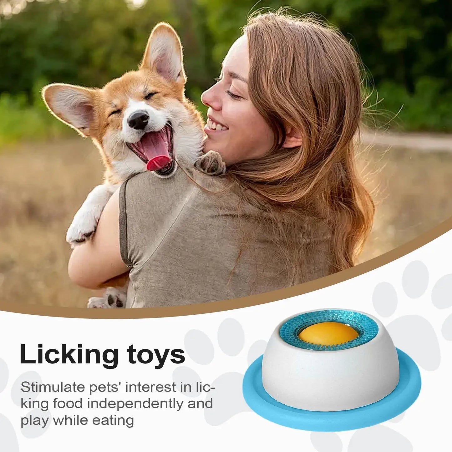 Pet Slow Feeder Lick Toy