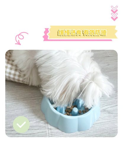 Pet Slow Feeder Bowl