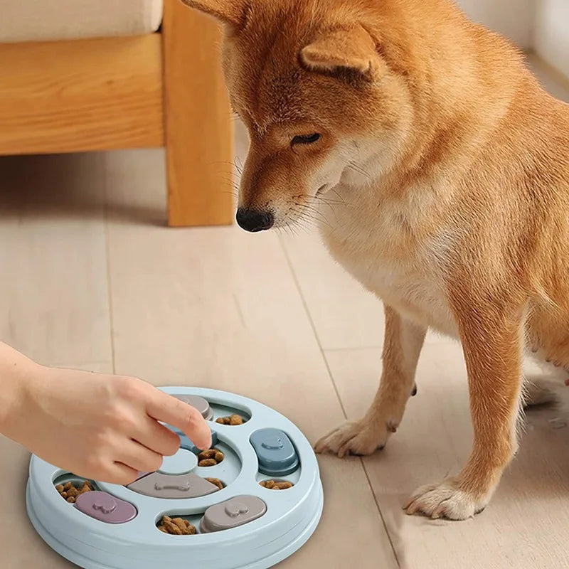 Pet Slow Feeder Puzzle Bowl