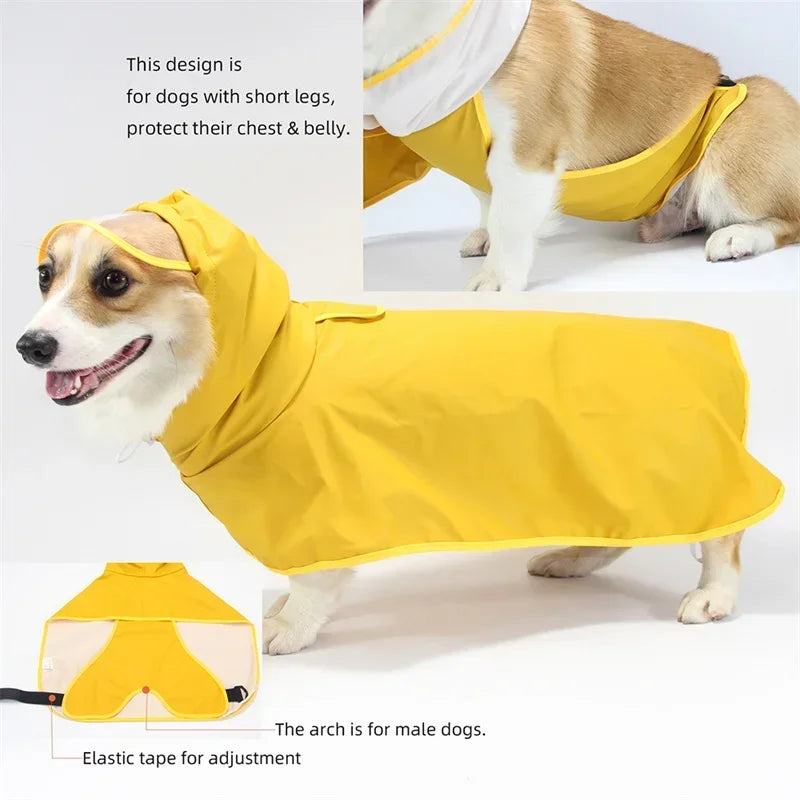 Dog Raincoat