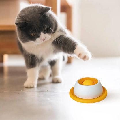Pet Slow Feeder Lick Toy