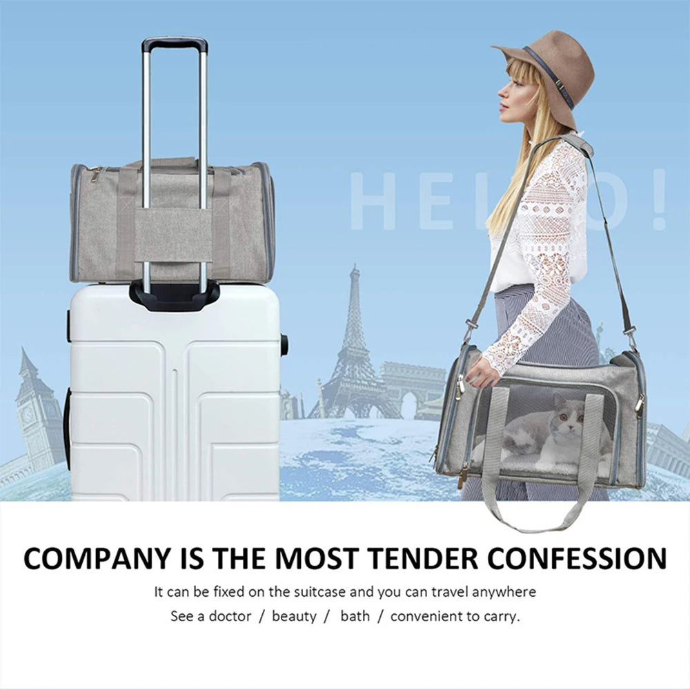 Collapsible Pet Carrier
