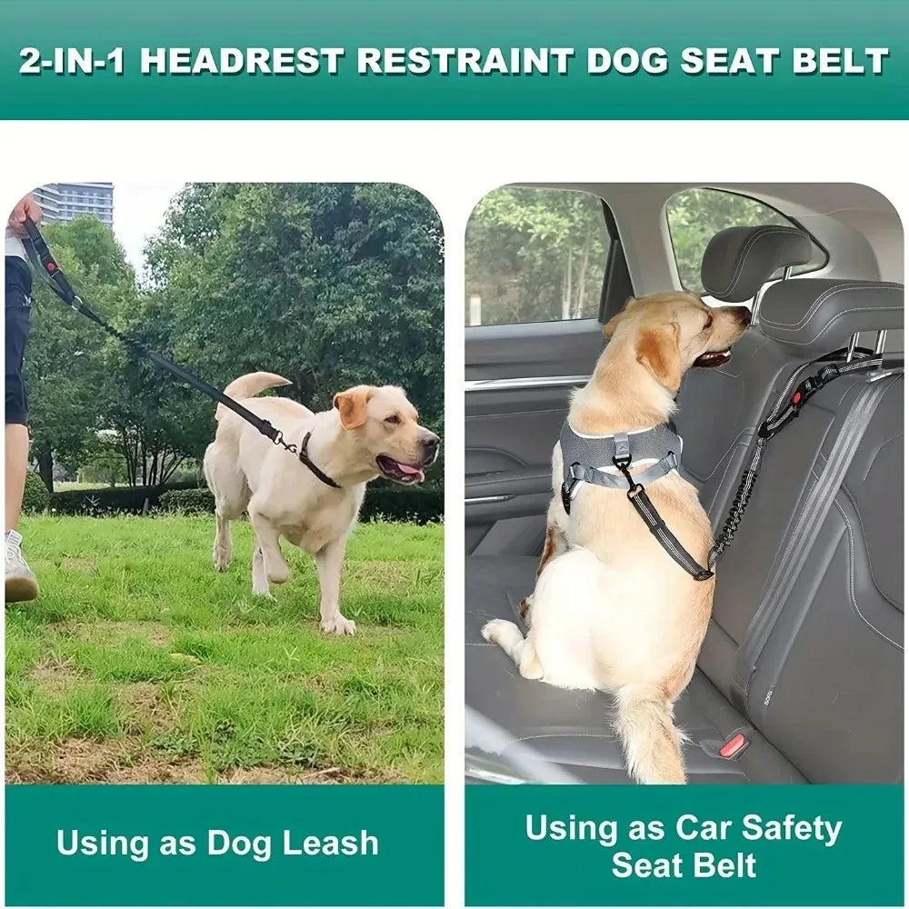 Pet Car Safety Belt & Lead