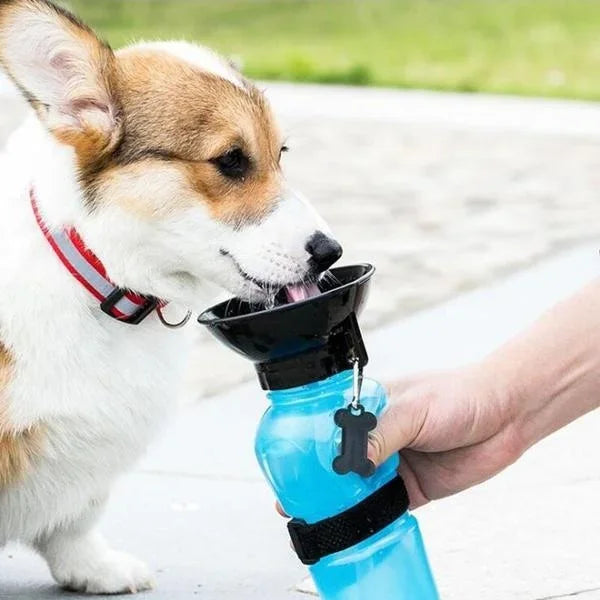 Portable Pet Water Bottle 500ml