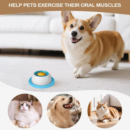 Pet Slow Feeder Lick Toy
