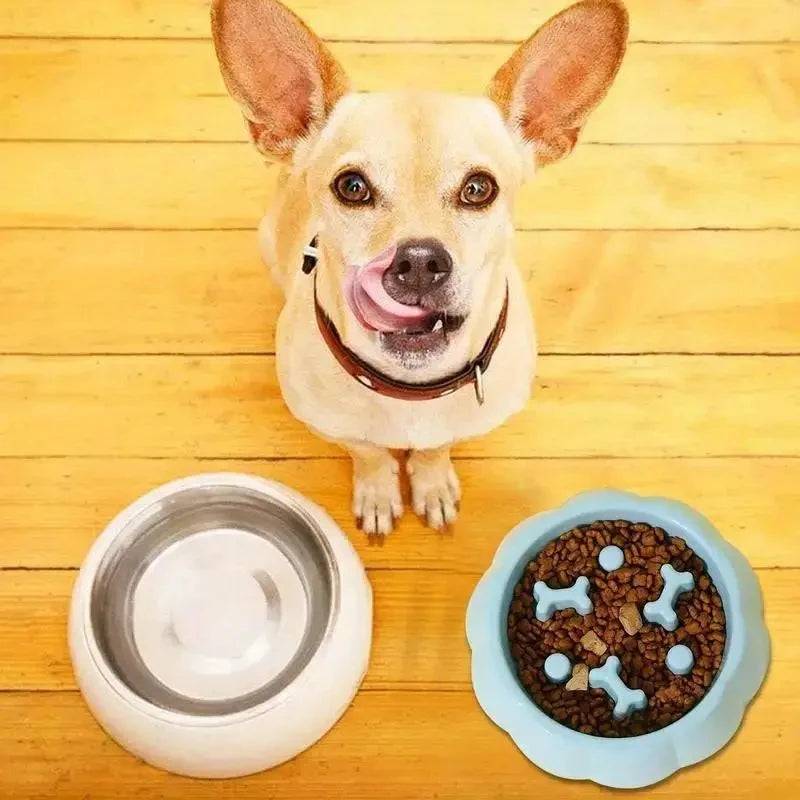 Pet Slow Feeder Bowl