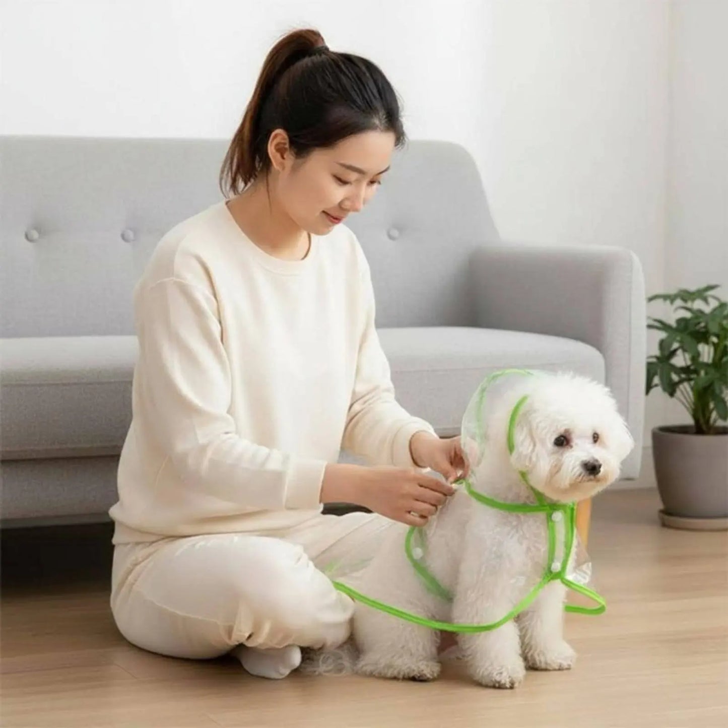 Transparent Hooded Dog Raincoat