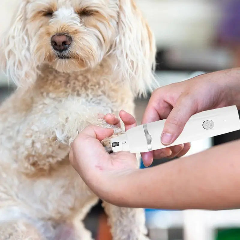 4-in-1 Cordless Pet Grooming Kit