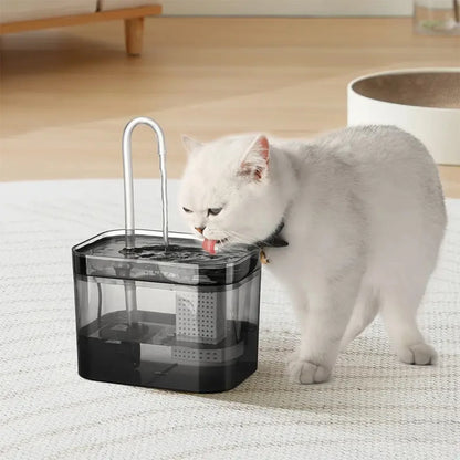 Pet Water Fountain with Filter