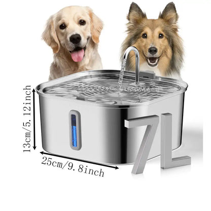 Pet Water Fountain