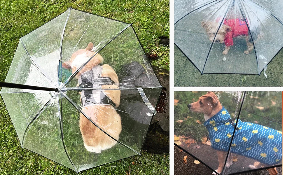 Pet Umbrella with Built-In Leash