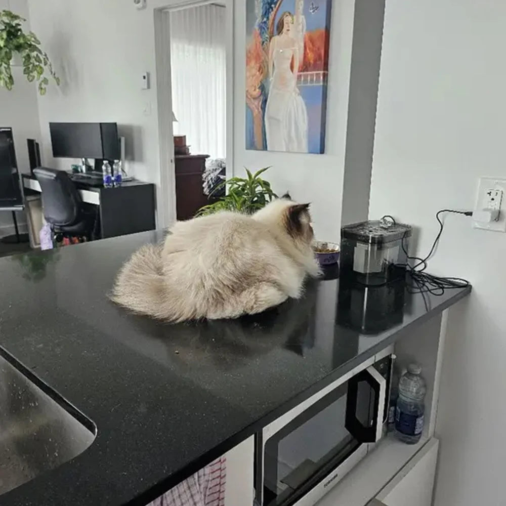 Pet Water Fountain with Filter