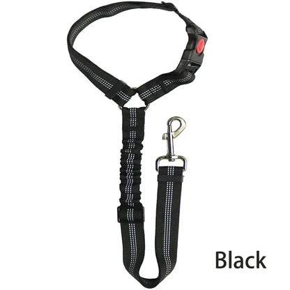 Pet Car Safety Belt & Lead