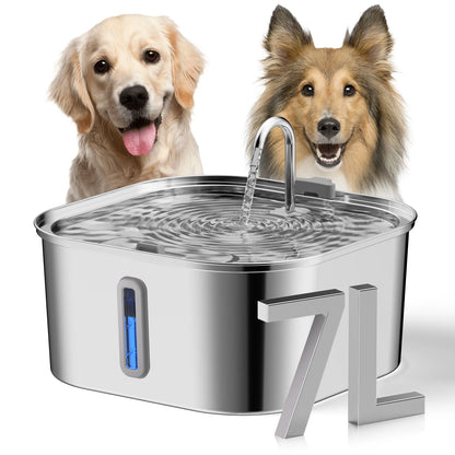 Pet Water Fountain